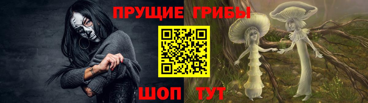 Псилоцибиновые грибы Psilocybe  Вход с VPN  Хасавюрт 